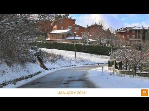 Tungsten Update January 2026