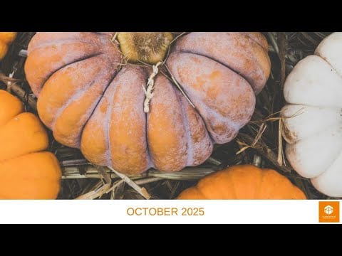 Tungsten Update October 2025