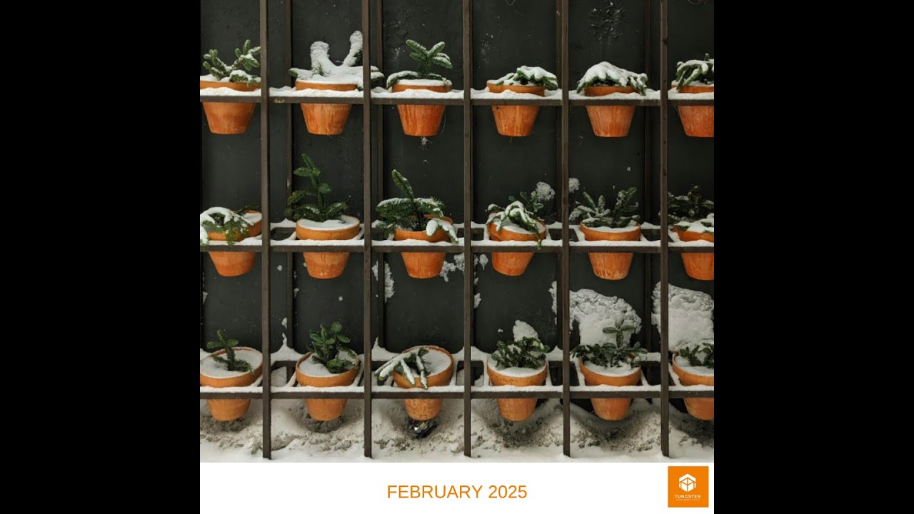 Tungsten Update February 2025