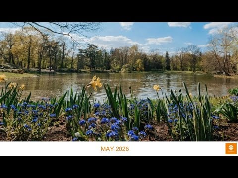 Tungsten Update May 2026
