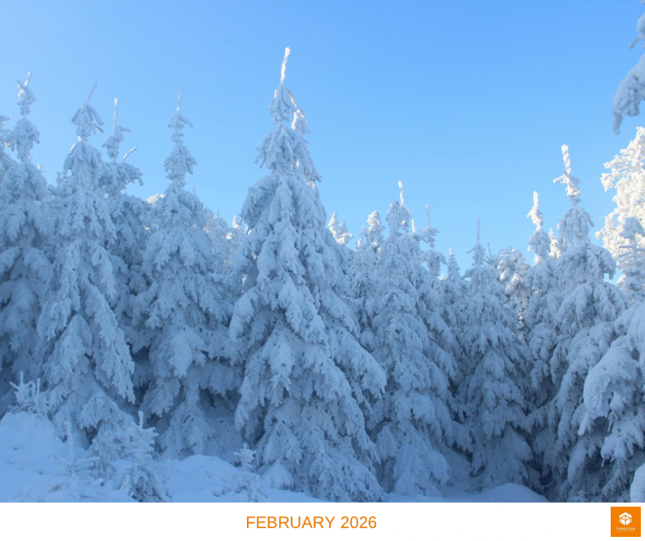 Tungsten Update February 2026