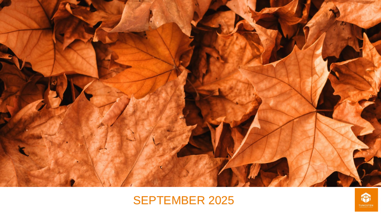 Tungsten Update September 2025