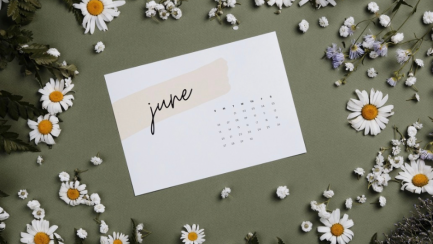 Tungsten Update June 2026