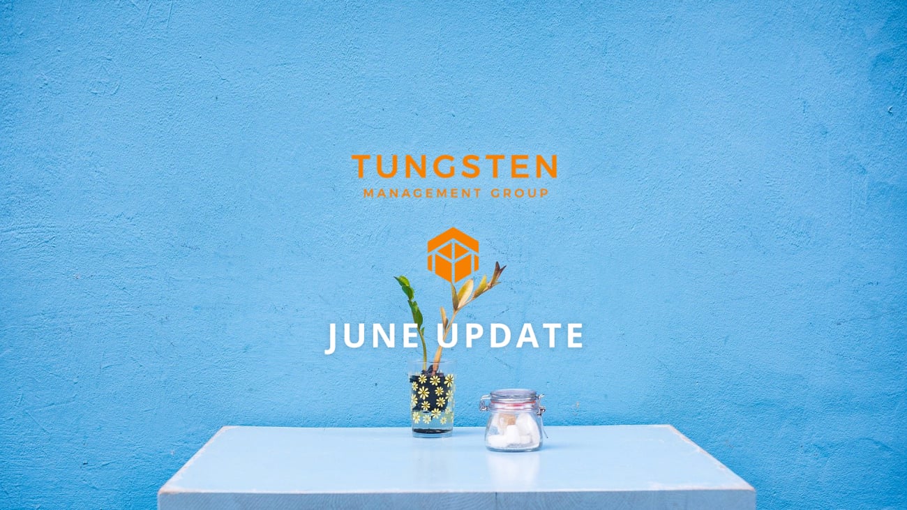 Tungsten Management Group Update Part Thirty One