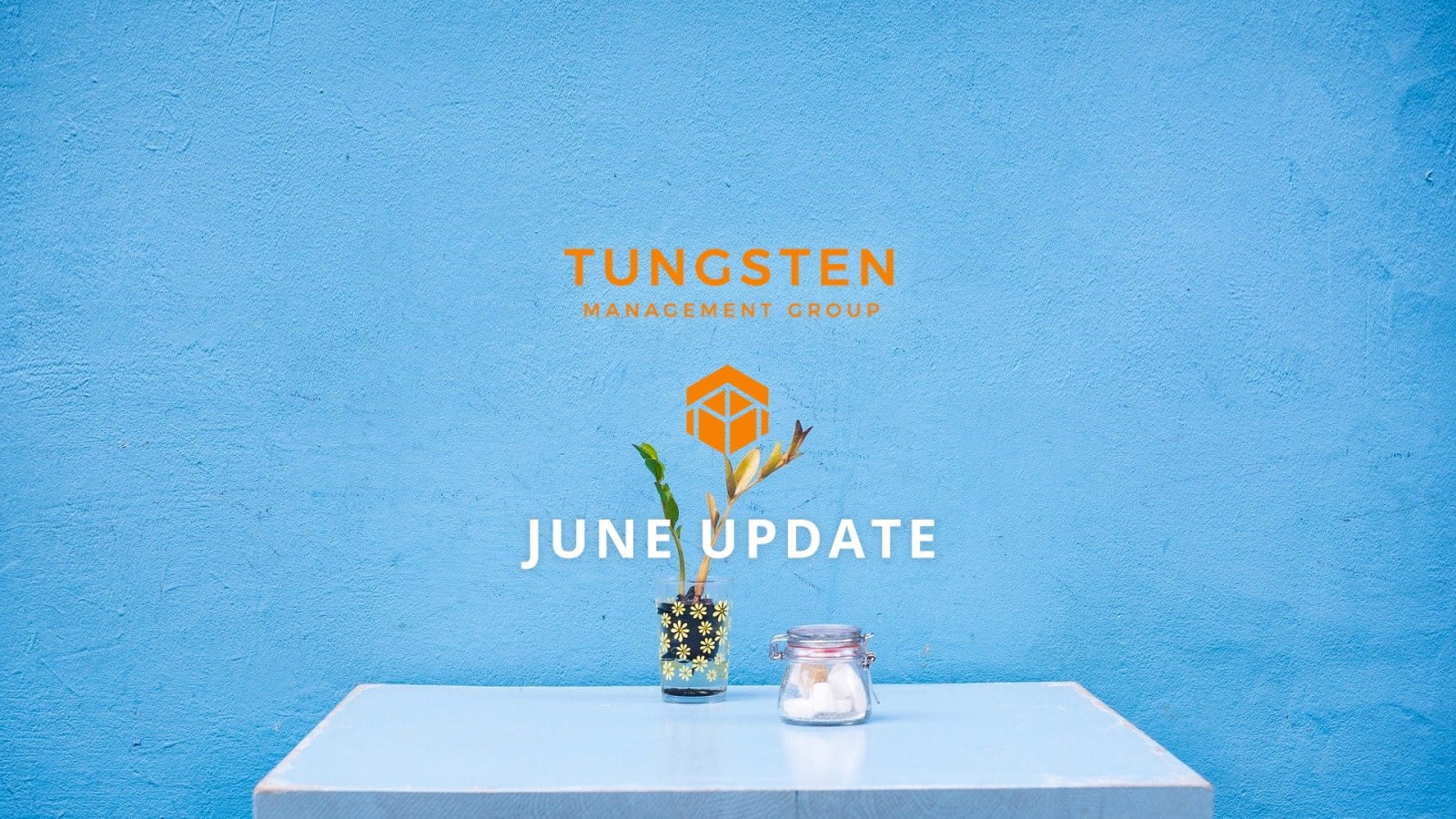 Tungsten Management Group Update Part Thirty One