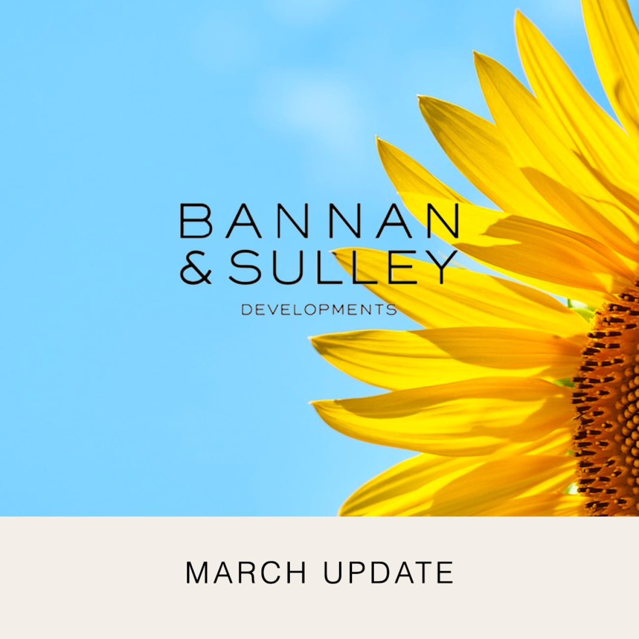 Bannan and Sulley Update  March 2023