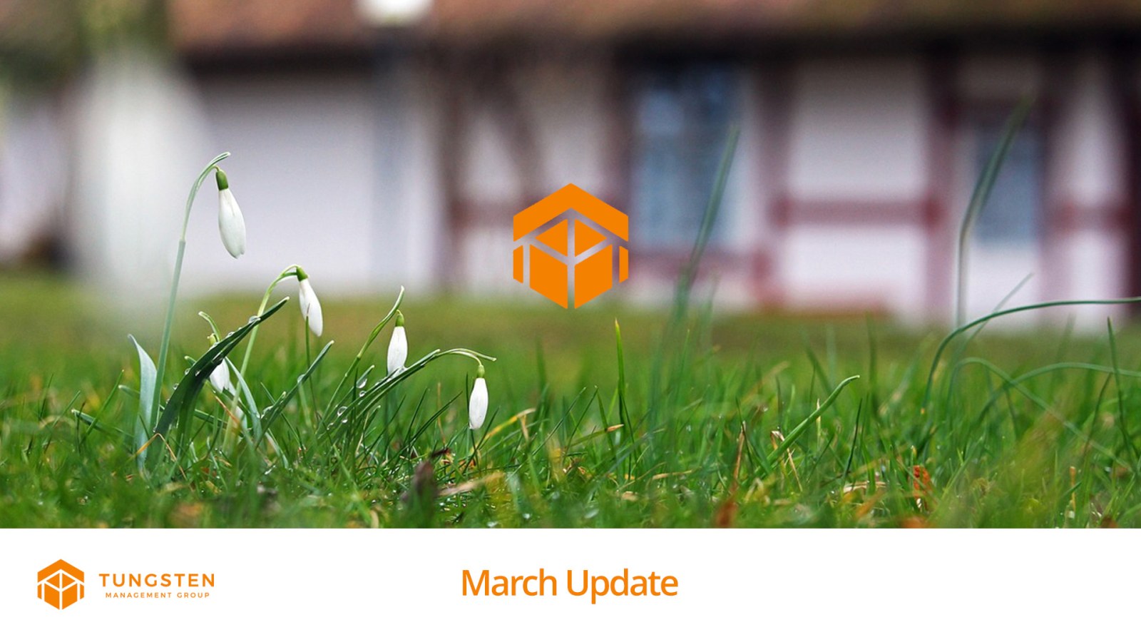 Tungsten Update March 2024