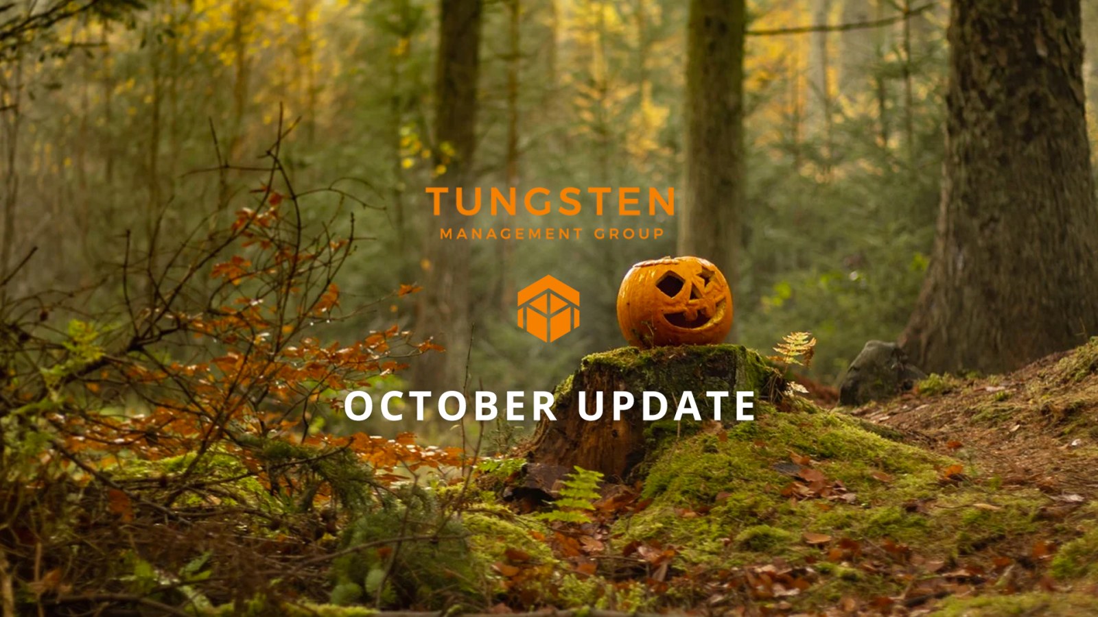 Tungsten Management Group Update Part Thirty Five