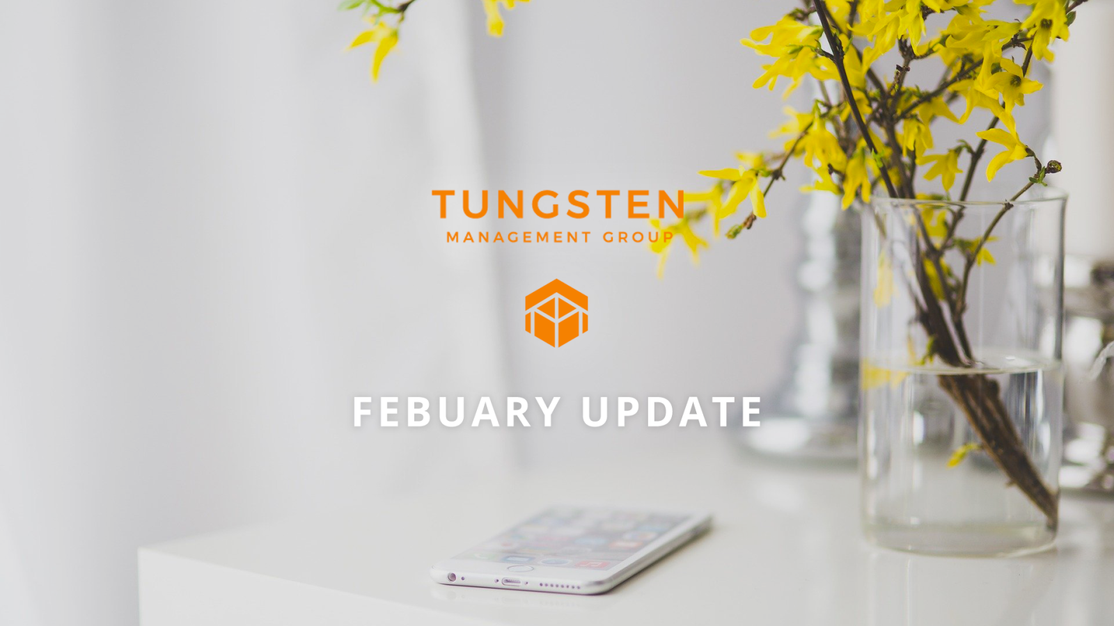 Tungsten Management Group Update Part Twenty Seven