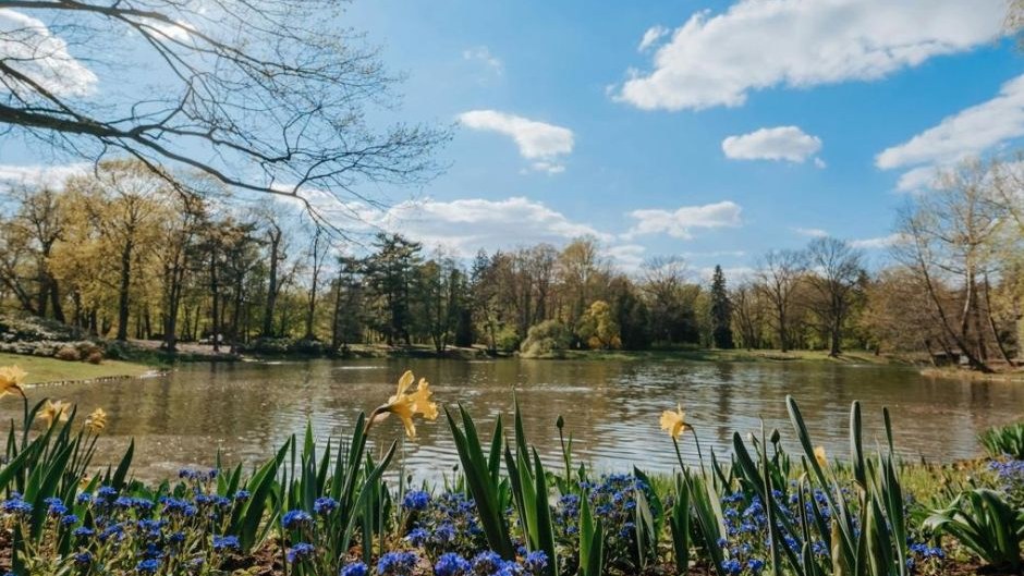 Tungsten Update May 2026