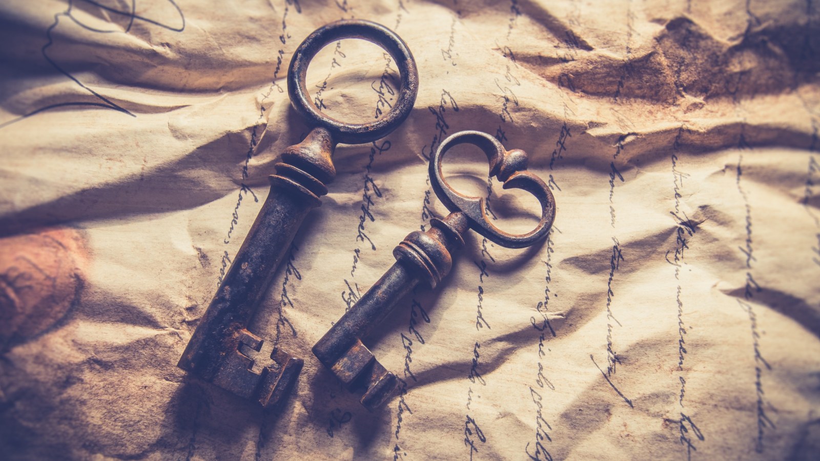 5 things you should do before an auction to make the most of it?
