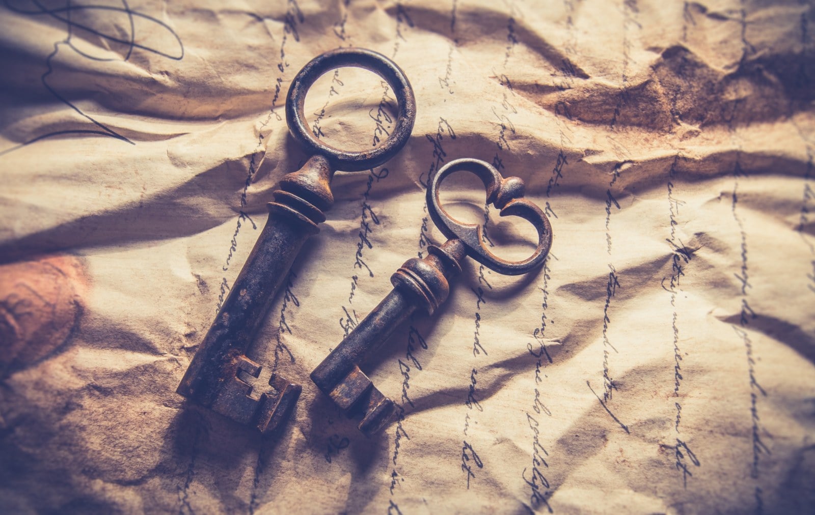 5 things you should do before an auction to make the most of it?