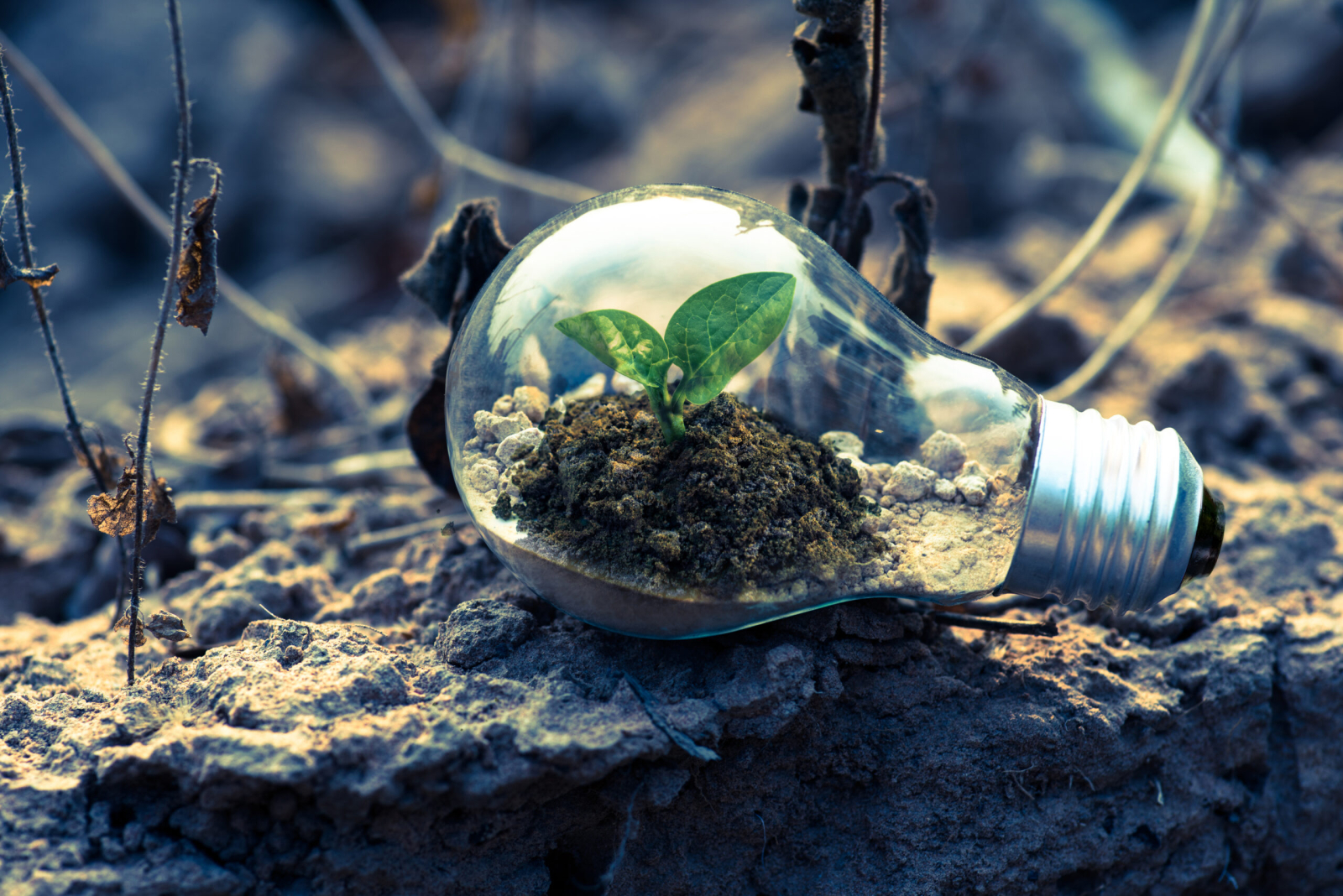 Rebranding comes from growth and evolution