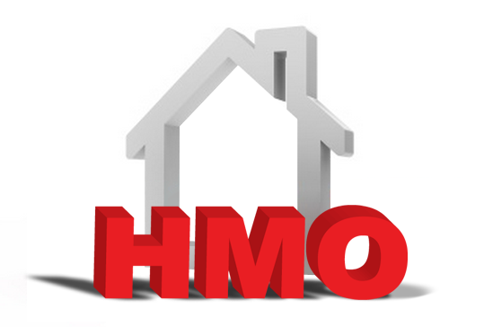 Why did you choose HMO as a strategy?