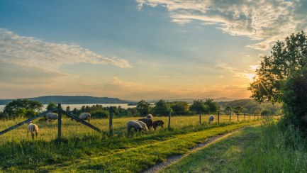 Medway, Kent
