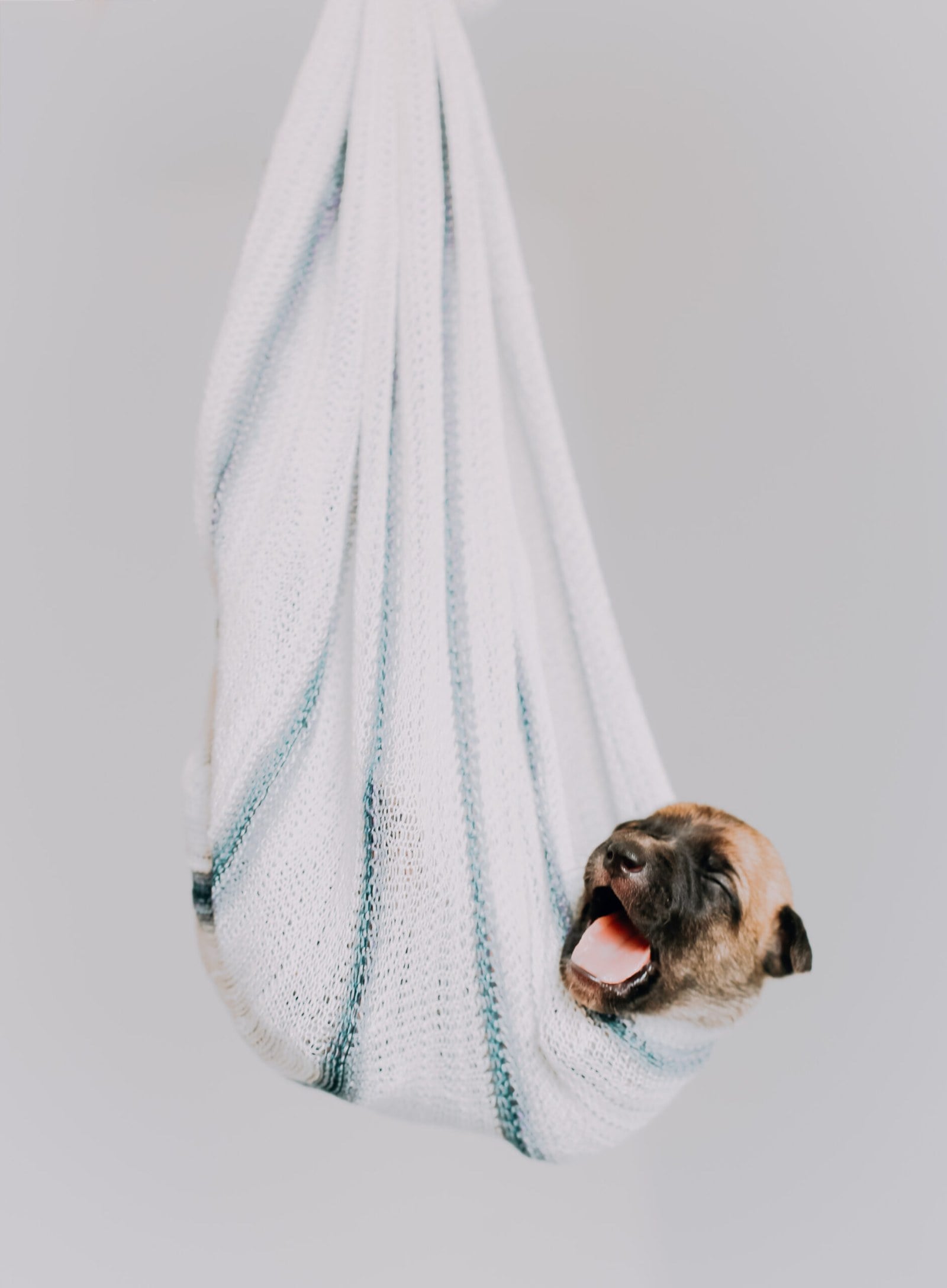 Why you need a good nights sleep?