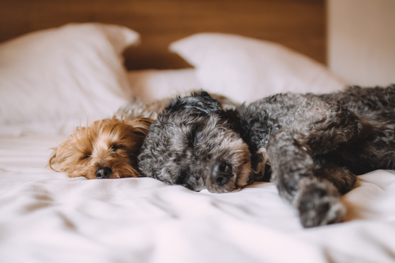 Restful sleep is the key to success and health